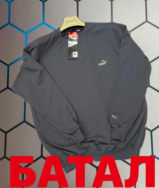 Свитер Alex Clothes (2XL-6XL) 4786 grey (деми)