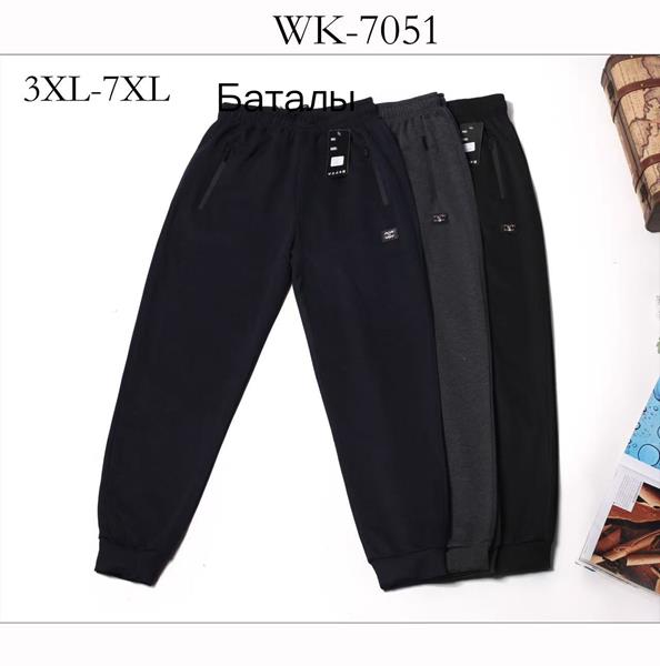Штаны спорт Hoan (3XL-7XL) WK7051 black (деми)