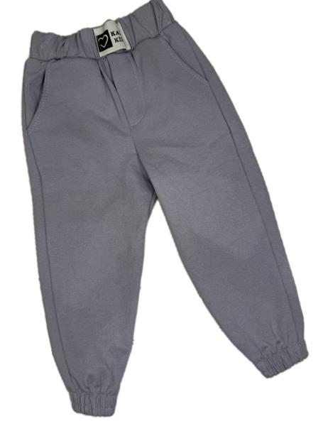 Штаны спорт Malibu2 (3-7) 1428 grey (деми)