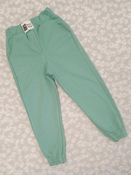 Штаны спорт Malibu2 (3-7) 1428 mint (деми)