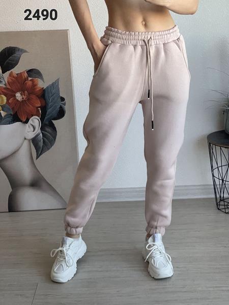 Штаны спорт FSN (46-52) 2490 beige (зима)