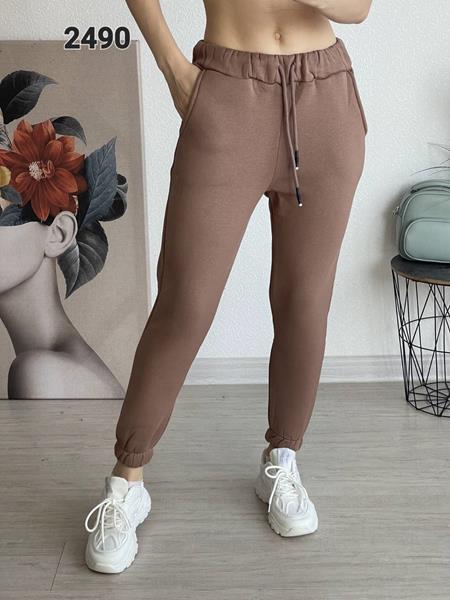 Штаны спорт FSN (46-52) 2490 brown (зима)