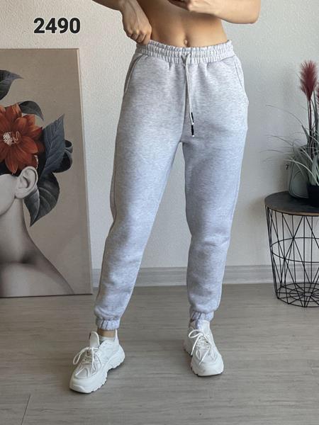 Штаны спорт FSN (46-52) 2490 l.grey (зима)