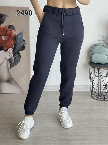 Штаны спорт FSN (46-52) 2490 navy (зима)