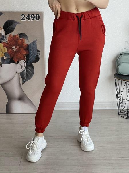 Штаны спорт FSN (46-52) 2490 red (зима)