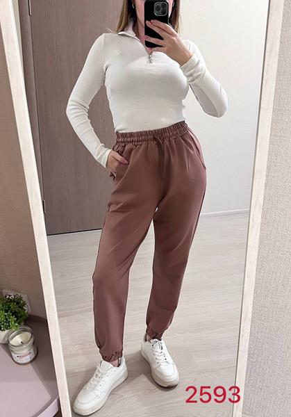 Штаны спорт FSN (46-52) 2593 brown (деми)