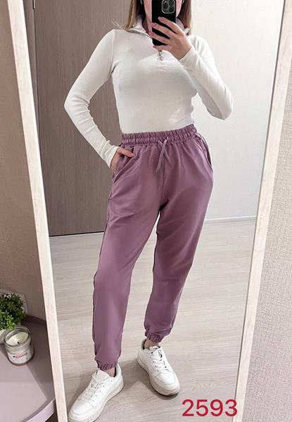 Штаны спорт FSN (46-52) 2593 purple (деми)