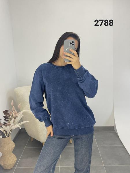 Свитер FSN (48-54) 2788 blue (деми)