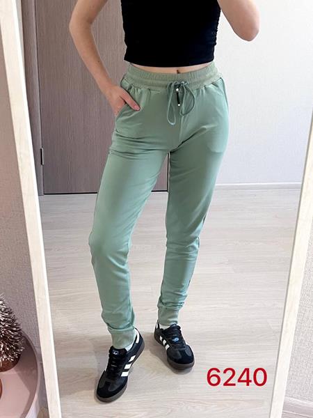 Штаны спорт FSN (42-48) 6240 mint (деми)