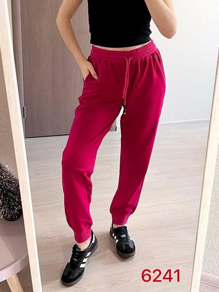 Штаны спорт FSN (44-50) 6241 crimson (деми)