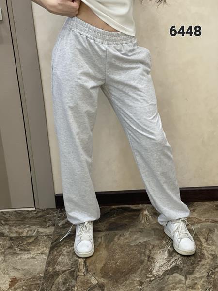 Штаны спорт FSN (M-XL) 6448 l.grey (деми)