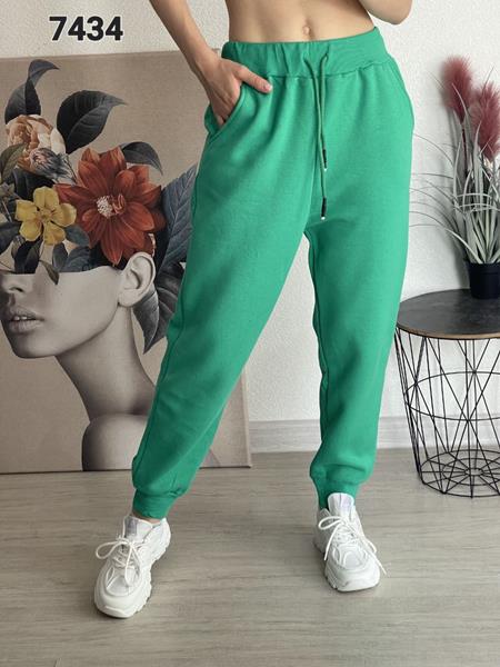 Штаны спорт FSN (46-52) 7434 green (зима)