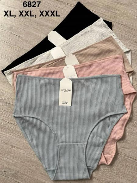 Трусы Comfort (XL-3XL) 6827 mix (деми)