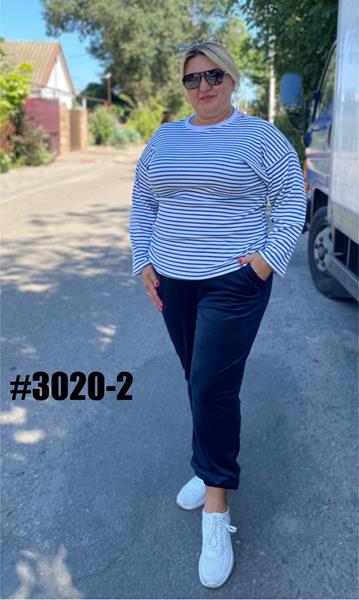 Штаны спорт BAT (54-60) 3020-2 blue (деми)