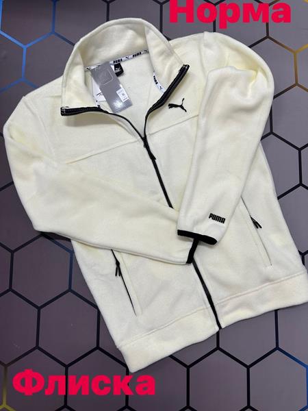 Кофта спорт Alex Clothes (S-2XL) 6020 l.beige (зима)