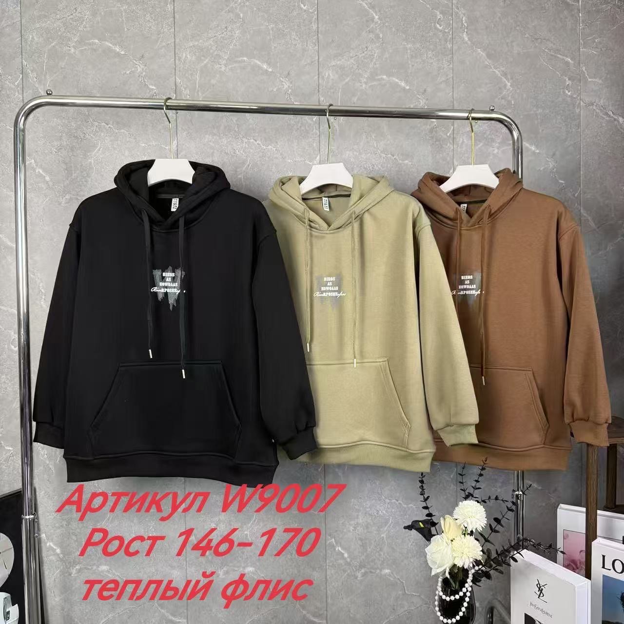 Худи Delfinka (146-170) W9007 mint (зима)