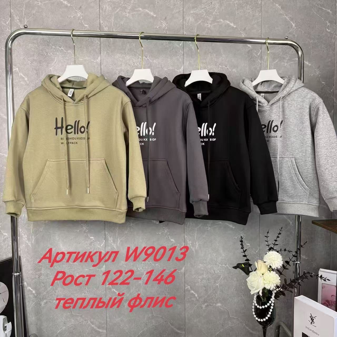 Худи Delfinka (122-146) W9013 mint (зима)