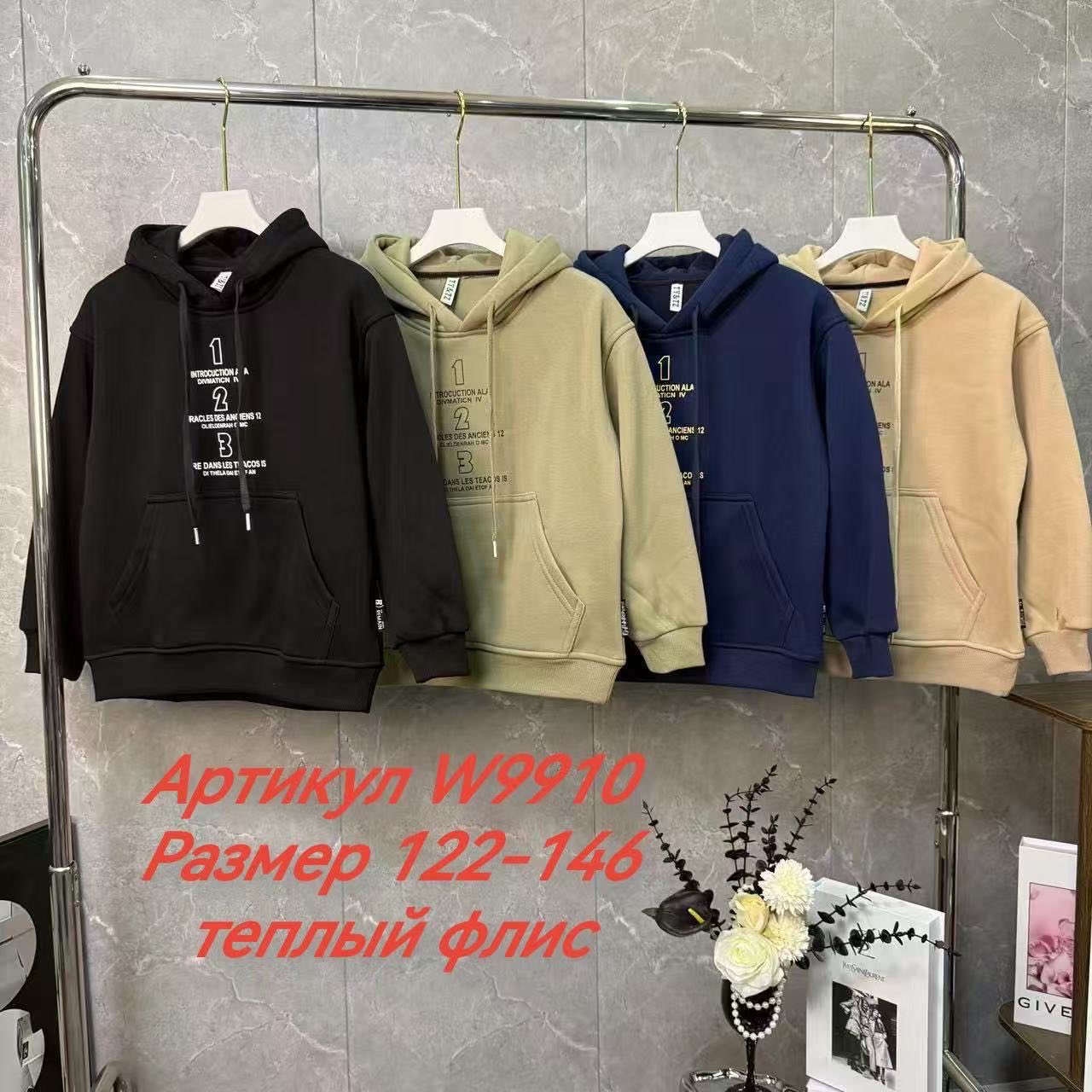 Худи Delfinka (122-146) W9910 black (зима)