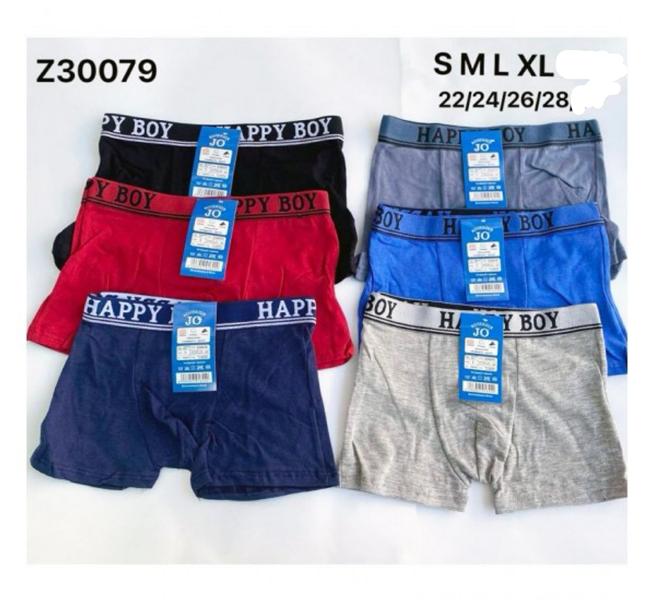 Трусы Redoor (S-XL) Z30079 mix (деми)