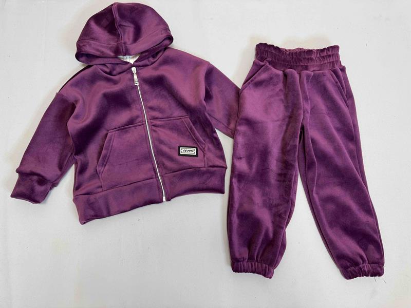 Костюм спорт Bright Harmony (92-122) 1604 purple (деми)