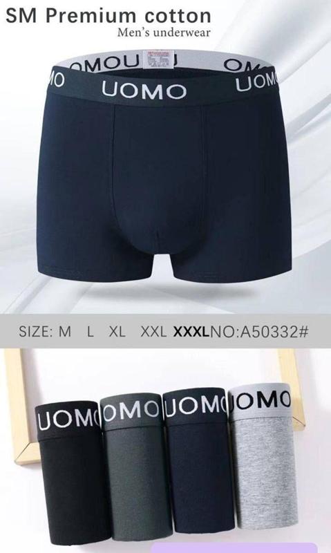 Трусы Comfort (M-3XL) A50332 (деми)