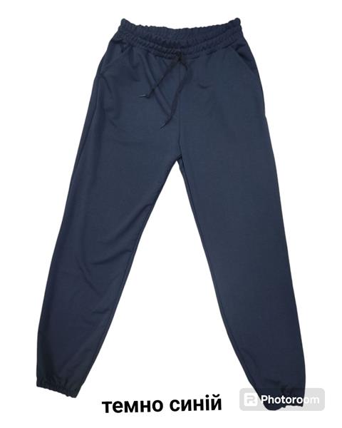 Штаны спорт 4 Seasons (42-52) A01-100 navy (деми)