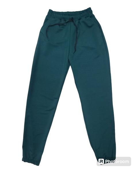 Штаны спорт 4 Seasons (42-52) A01-102 green (деми)