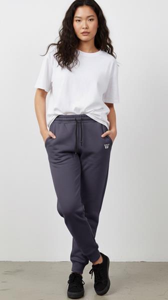 Штаны спорт Annet (S-2XL) AZ0175 gray (зима)