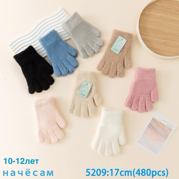Перчатки Anjela (10-12) 5209 mix (зима)