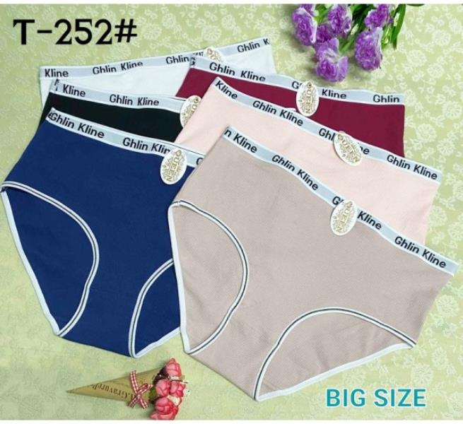 Трусы Redoor (6XL-7XL) T252 mix (лето)