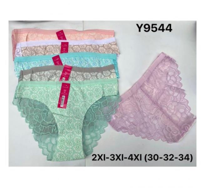 Трусы Redoor (2XL-4XL) Y9544 mix (лето)