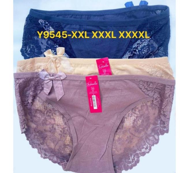 Трусы Redoor (2XL-4XL) Y9545 mix (лето)