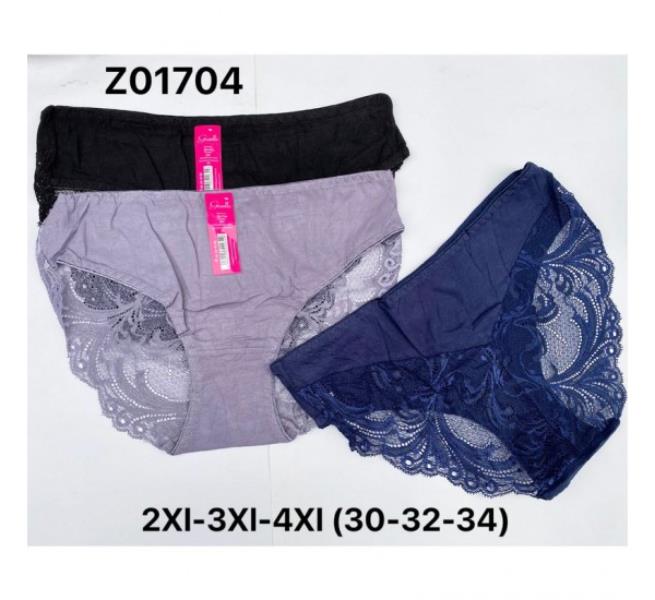 Трусы Redoor (2XL-4XL) Z01704 mix (лето)