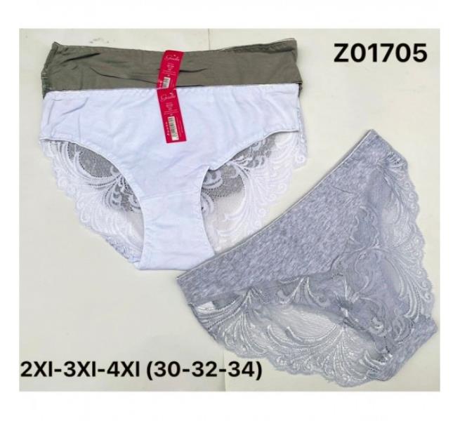 Трусы Redoor (2XL-4XL) Z01705 mix (лето)