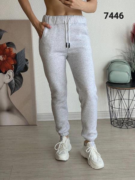 Штаны спорт FSN (42-48) 7446 grey (зима)