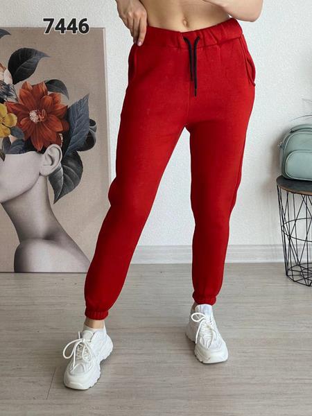 Штаны спорт FSN (42-48) 7446 red (зима)