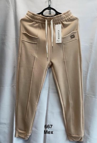 Штаны спорт Minh (L-4XL) 667 beige (зима)