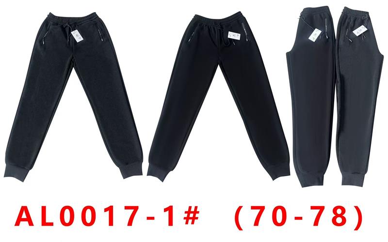 Штаны спорт Giang (70-78) G44-AL0017-1 grey (зима)