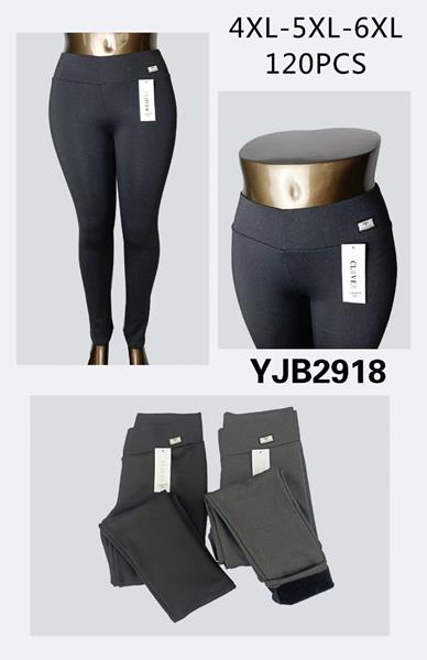 Лосины Giang (4XL-6XL) G140-2918 mix (зима)