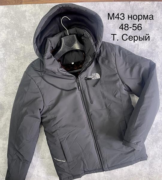 Куртка Essa (48-56) M43 grey (зима)