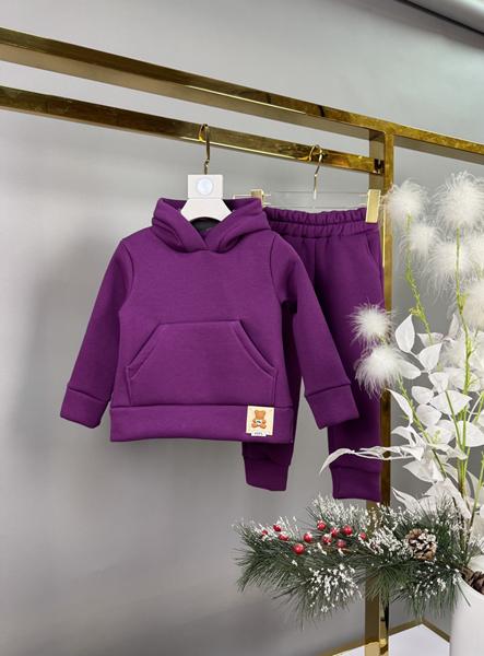 Костюм спорт Delfinka (92-116) 081-1 purple (зима)