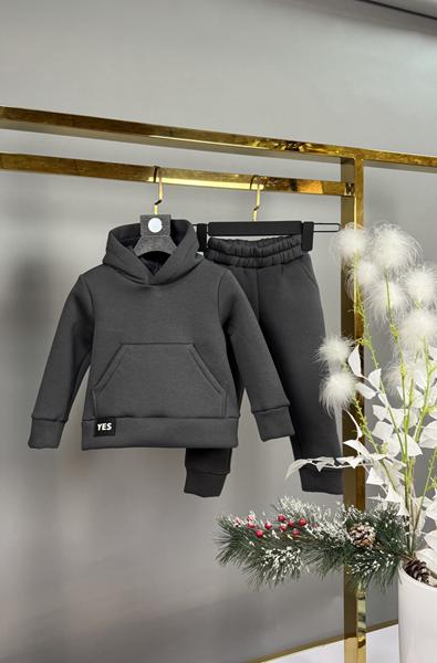 Костюм спорт Delfinka (120-160) 433-1 grey (зима)