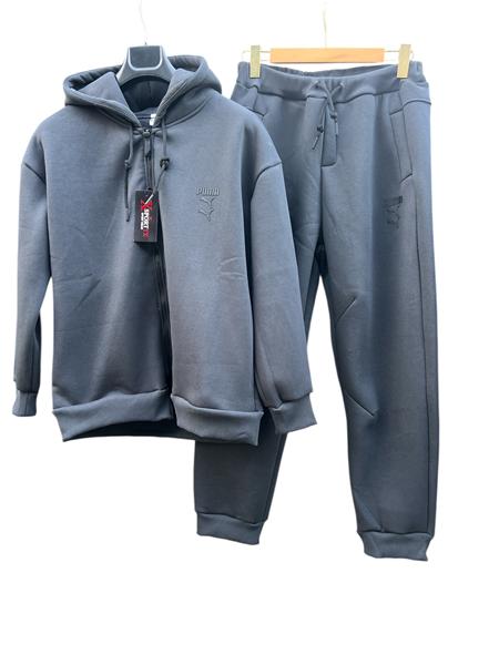 Костюм спорт Essa (48-56) E794 grey (зима)