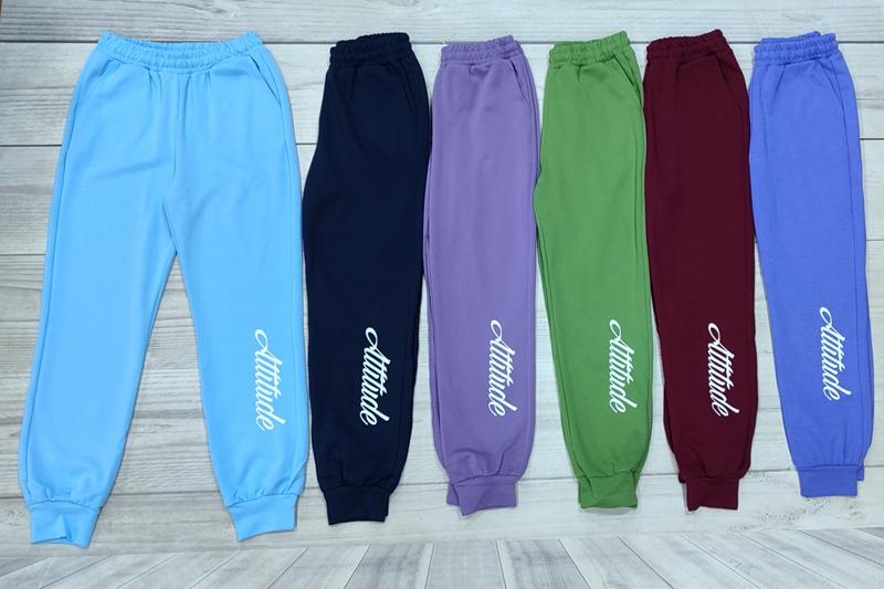 Штаны спорт Imlion (48-56) 44048 navy (деми)