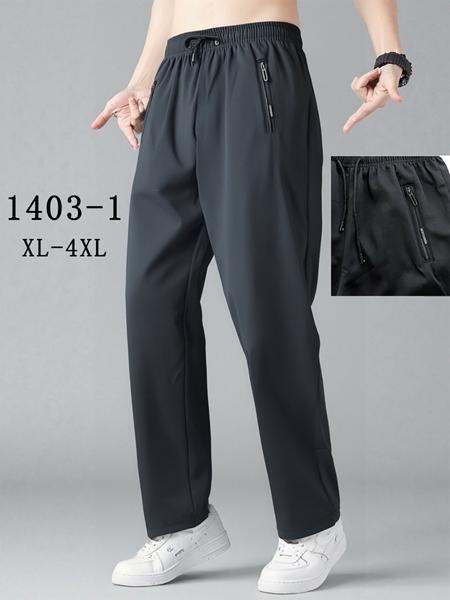 Штаны спорт Kenalin (XL-4XL) 1403-1 grey (деми)