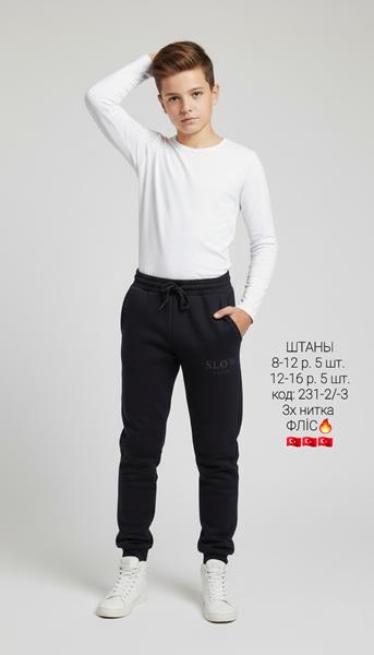 Штаны спорт AMZ (8-12) 231-2 black (зима)