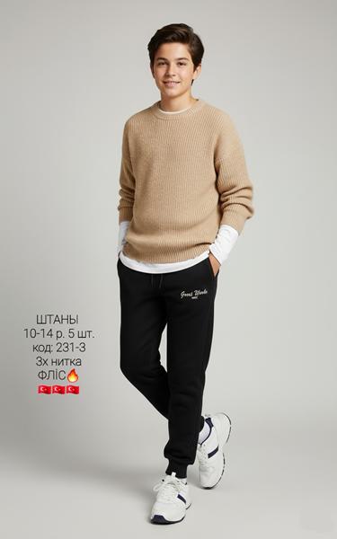 Штаны спорт AMZ (10-14) 231-3 black-beige (зима)