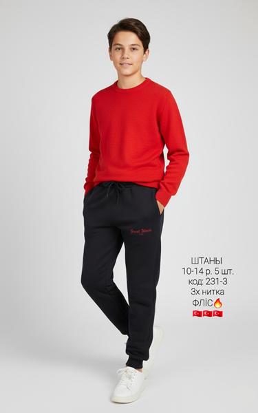 Штаны спорт AMZ (10-14) 231-3 black-red (зима)