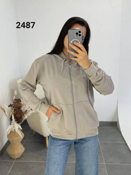 Кофта спорт FSN (46-52) 2487 grey (деми)