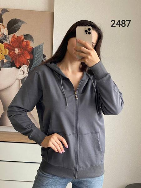 Кофта спорт FSN (46-52) 2487 d.grey (деми)